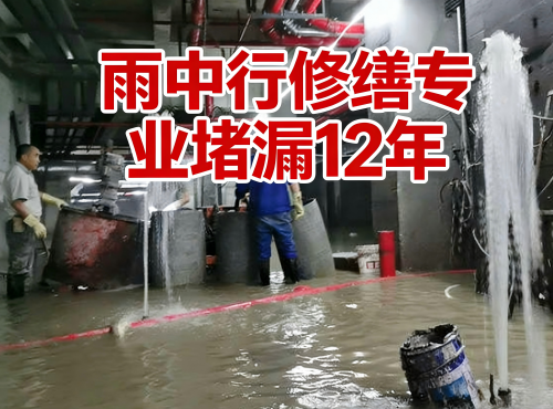 南阳地下室防水堵漏案例